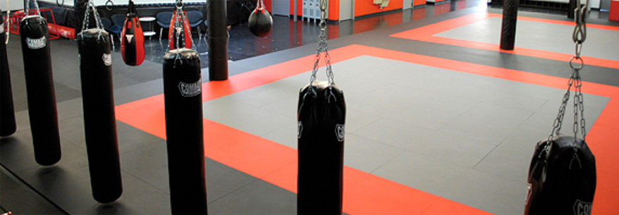 Tatami Training